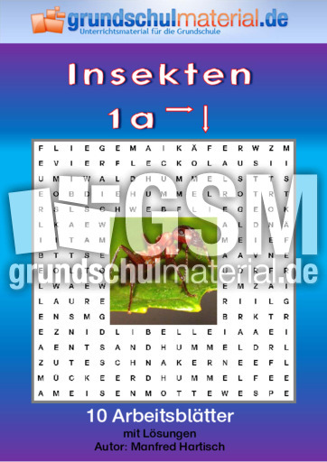 Insekten_1a.pdf